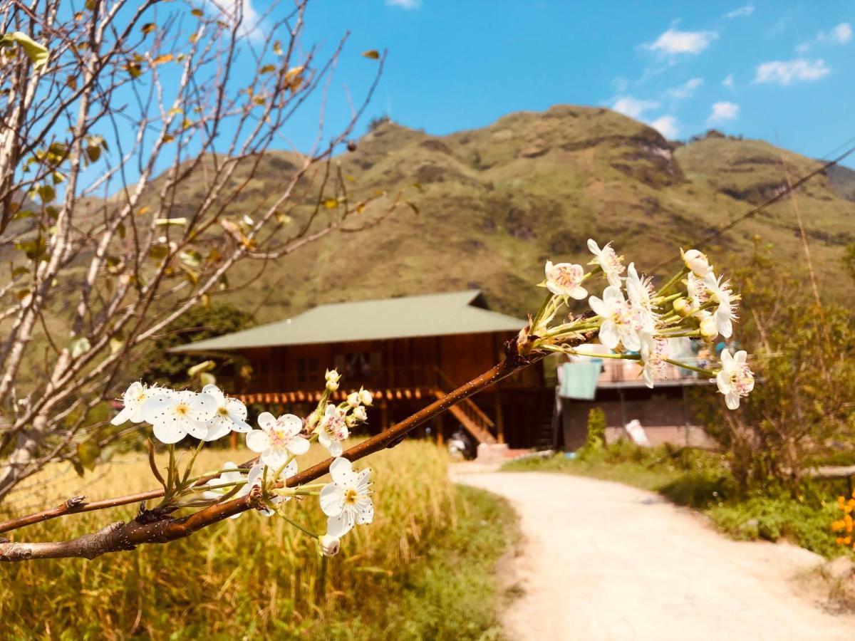 Wild Orchid- Lan Home Làng Cac Exterior foto